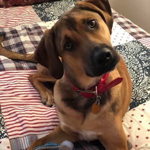 Meet your Posher, Kim